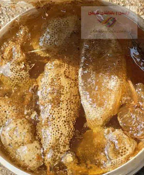 خرید و قیمت عسل وحشی اصلی یعنی عسل شاخه و سخره فقط